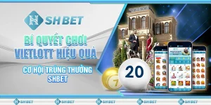 Trải Nghiệm Đỉnh Cao Với Https//shbet.promo/ - Khám Phá Thế Giới Cá Cược Trực Tuyến